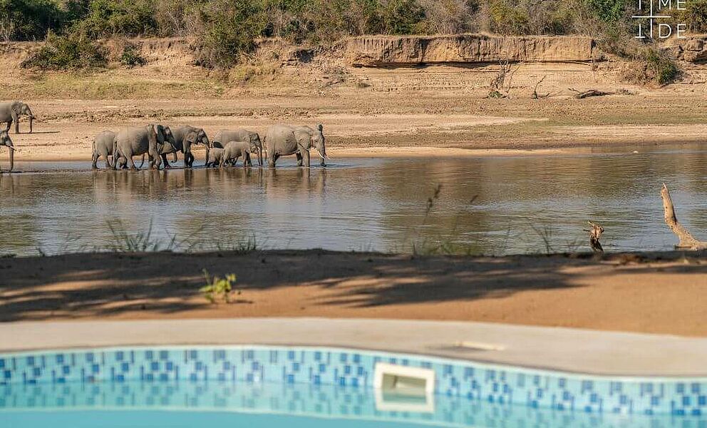 Es kommt schon vor, dass die Elefanten den Pool zum Durst stillen bevorzugen. Dann sollten Sie bitte teilen ;-).