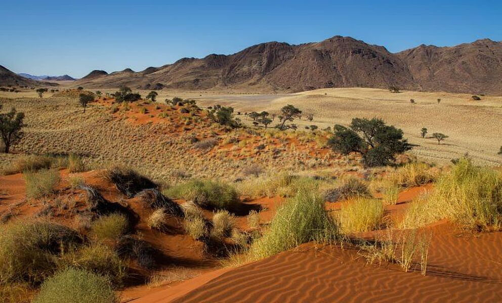 Landschaftsszene Namib Naukluft