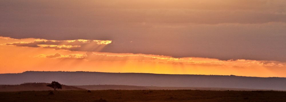 Abendstimmung Masai Mara
