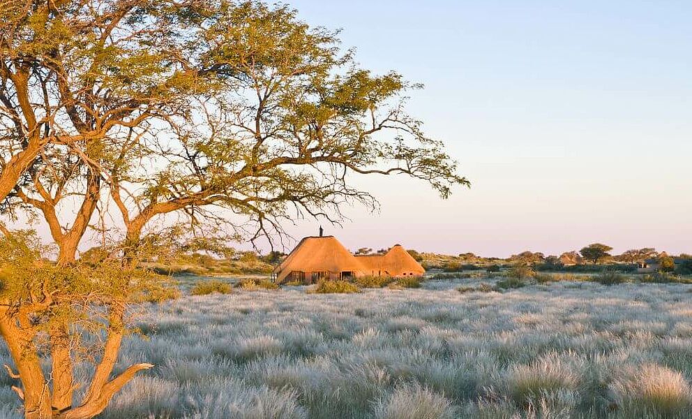 Lodge in der Kalahari