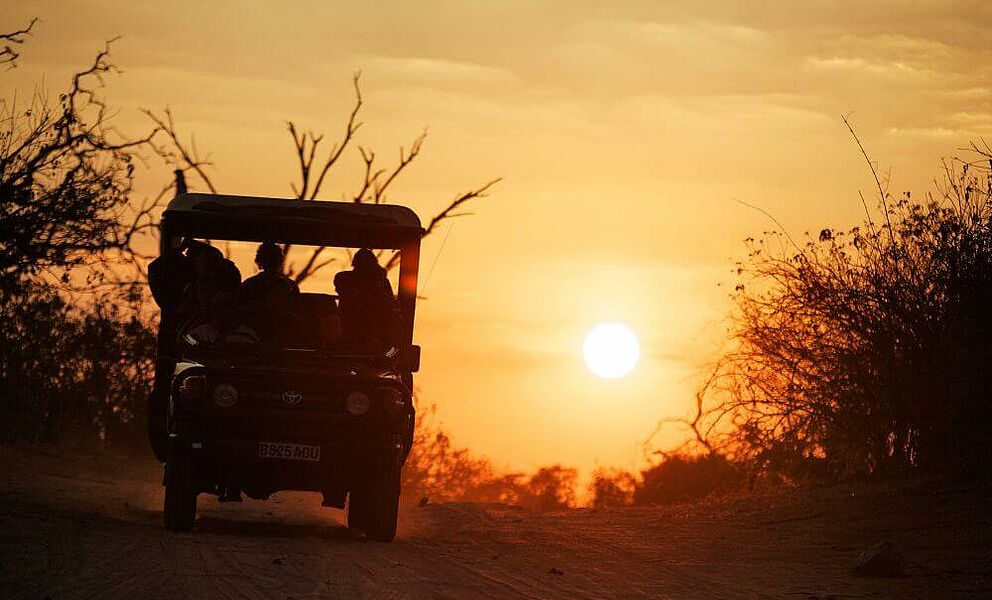 Auf Safari durch den Chobe National Park