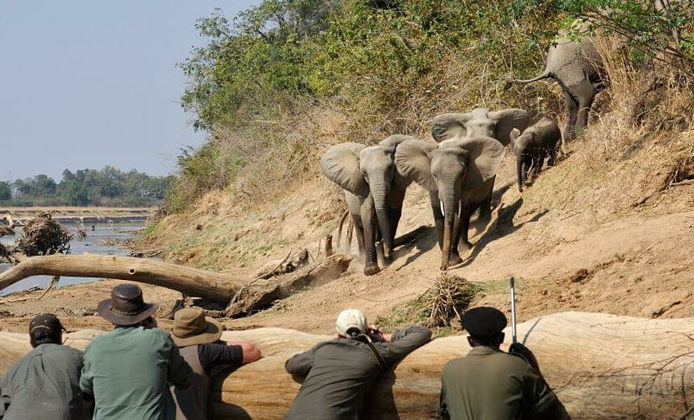 Ein beeindruckendes Safari Erlebnis!