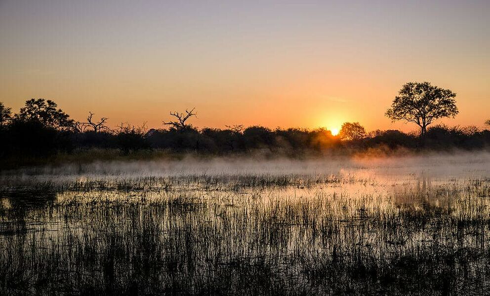 Bezaubernde Morgenstimmung im Okavango Delta