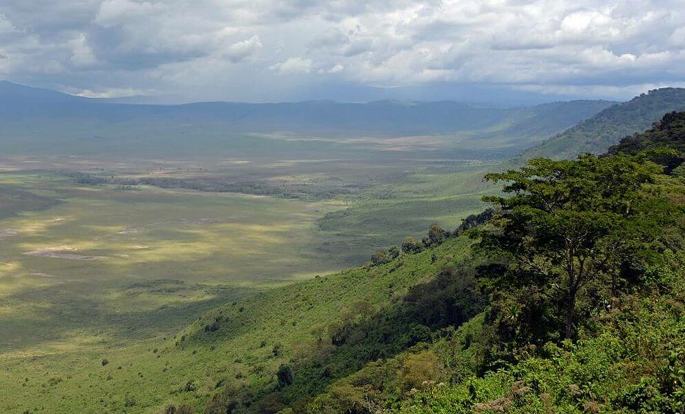 Der Ngorongoro Krater ist eine der bekanntesten Wildtierarenen Afrikas und ein Weltkulturerbe. 