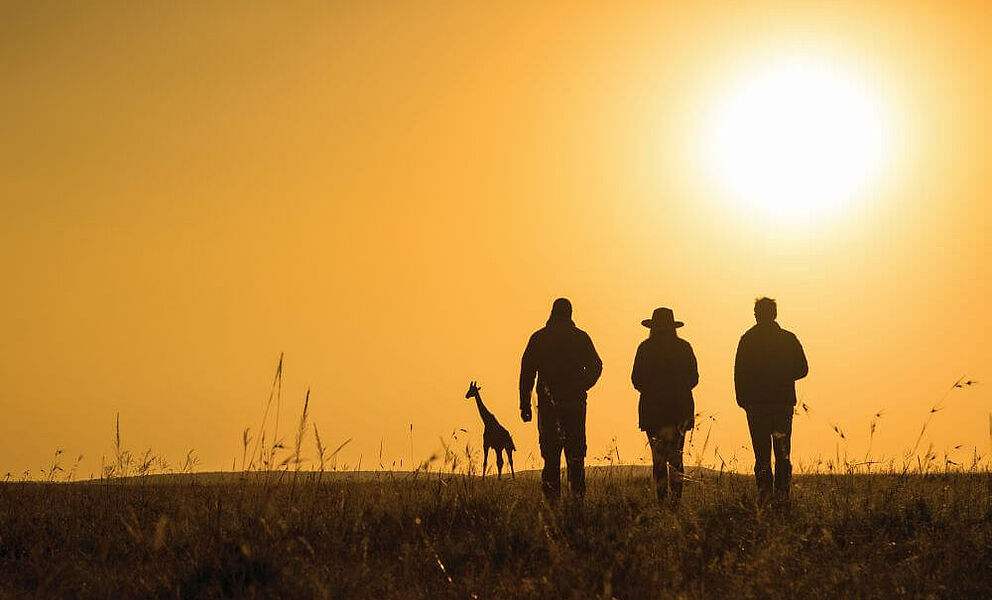Sundowner in der Masai Mara