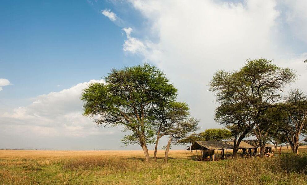 Meru-Zelt im Serengeti Safari Camp