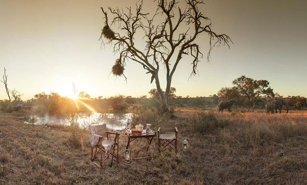 Sundowner auf Safari im Wildreservat Timbavati