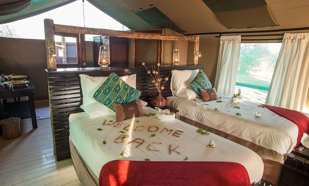 Schlafbereich im Safarizelt im Pom Pom Camp