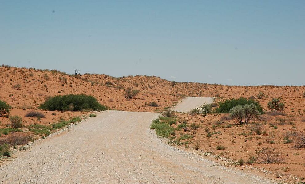 Pisten in der Kalahari