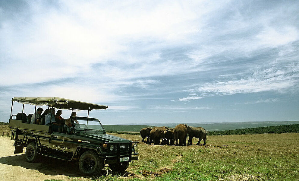 Auf Safari im Addo Elephant Park