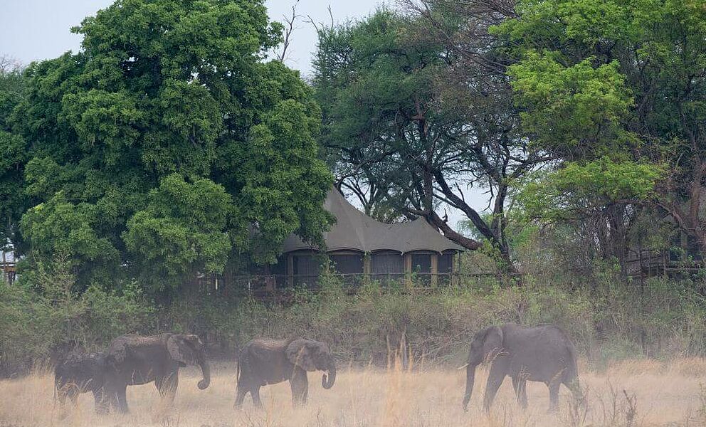 Elefanten vor der Lodge im Bwabwata National Park