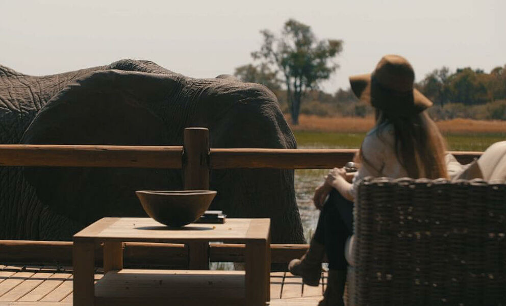 Elefantenbesuch im Camp
