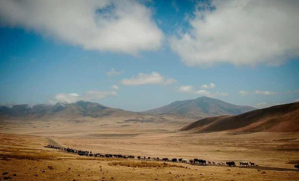 Im Umland vom Ngorongoro Krater