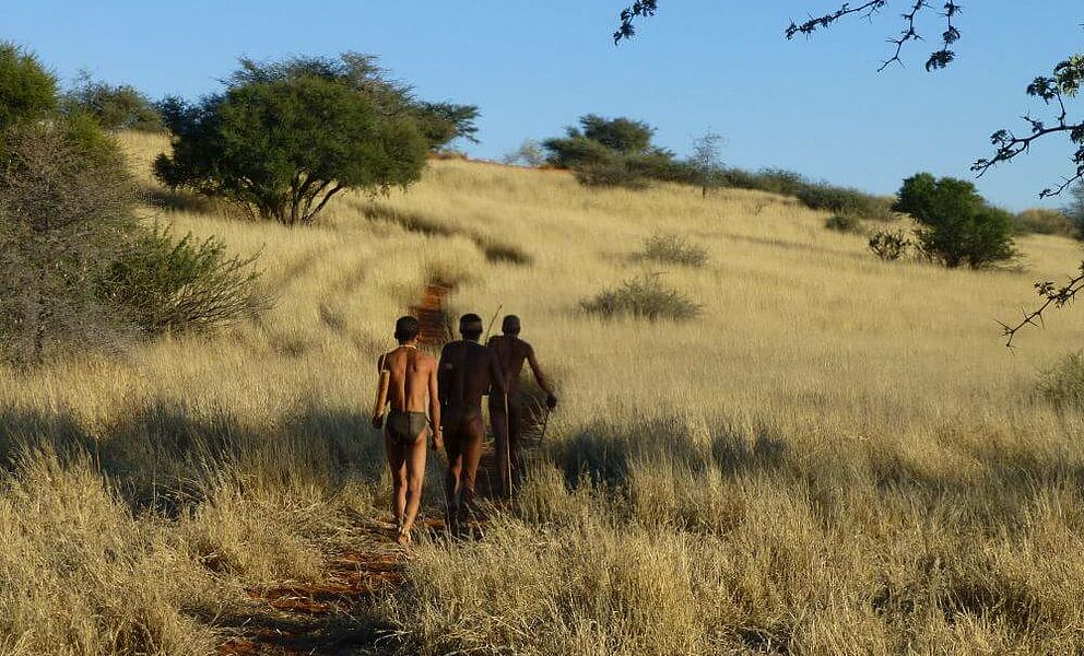 Bushman Walks in der Kalahari