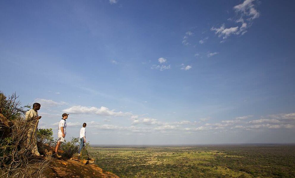 Blick in den Meru National Park