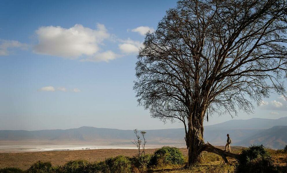 Traumhafter Blick auf den Ngorongoro Krater
