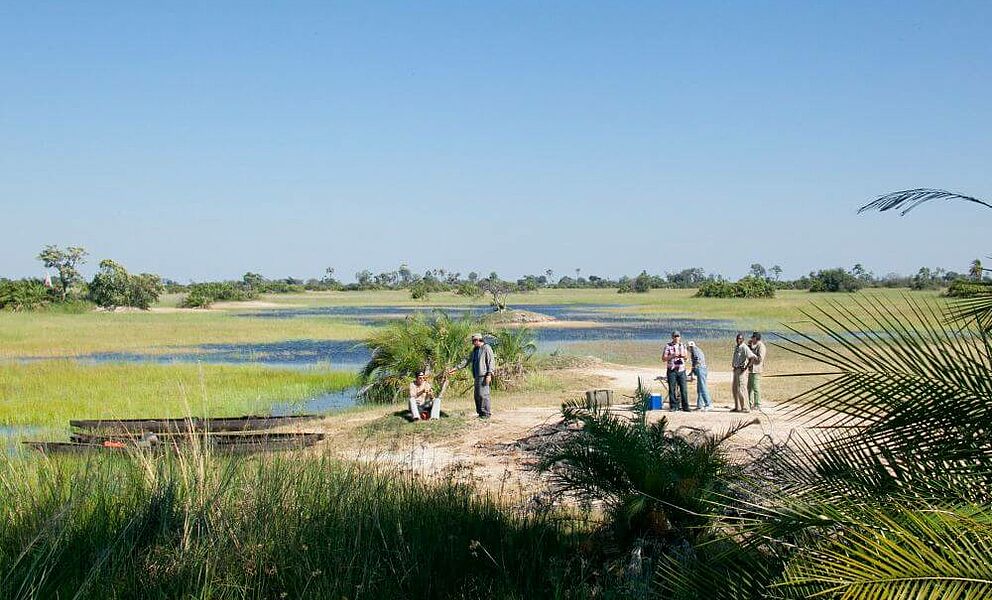 Palmen gesäumte Inseln im Okavango Delta