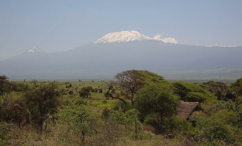Letzter Blick auf den Kilimanjaro