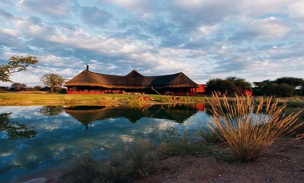 Africat Stiftung Bush Lodge in Namibia 