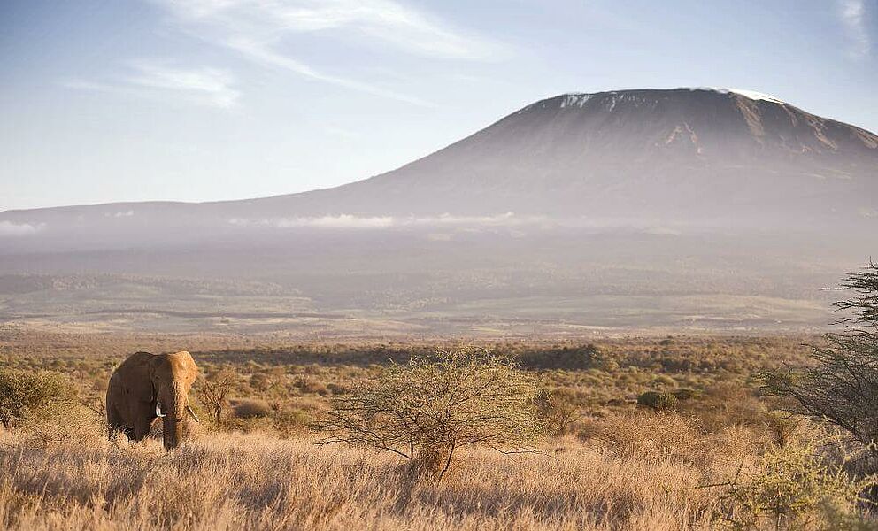 Obligatorisches Foto im Amboseli National Park