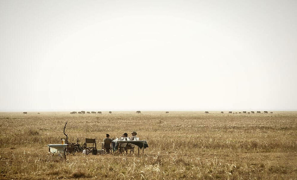 Beobachtung der vorbeiziehenden Elefanten im Katavi National Park