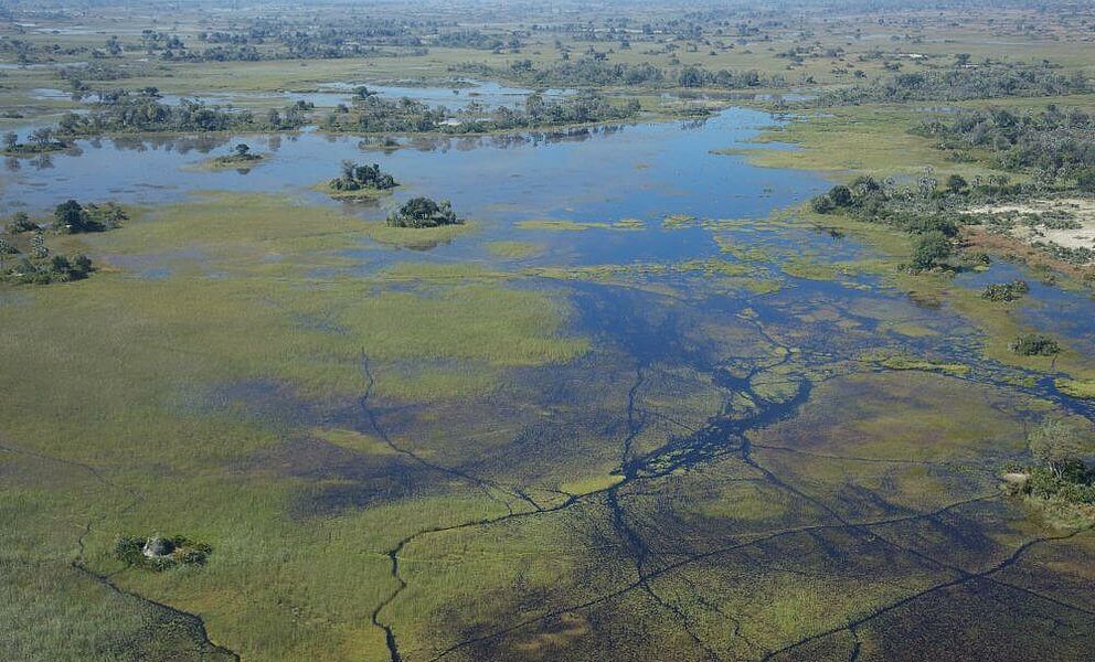 Flutebenen des Okavango Deltas in Botswana
