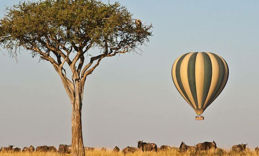 Ein Traum - Ballooning in der Masai Mara!