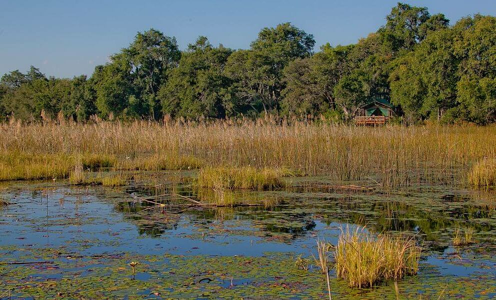 Pom Pom Camp im Okavango Delta in Botswana