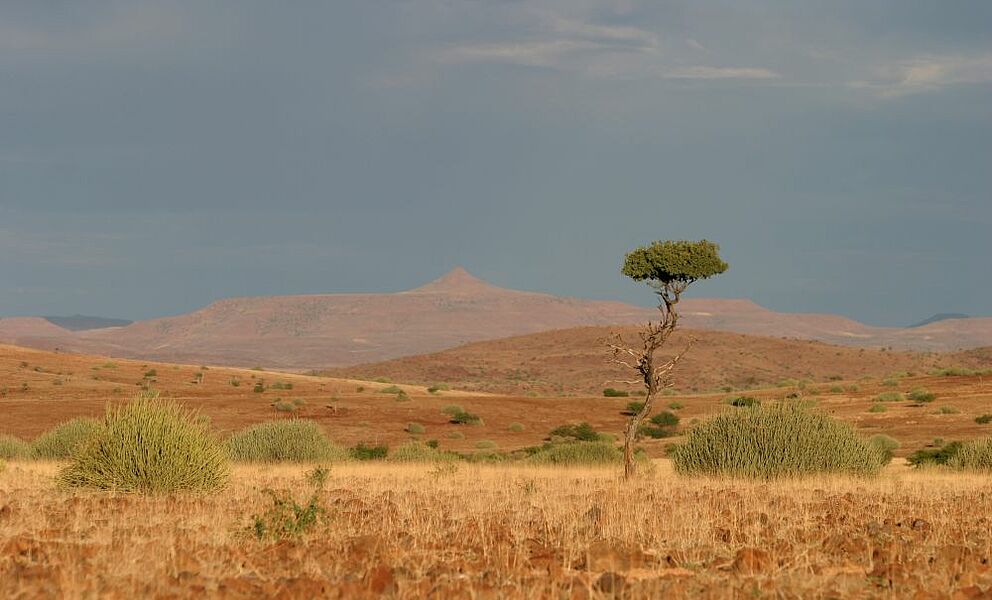 Landschaftsszene in der Nähe der Grootberge im Damaraland