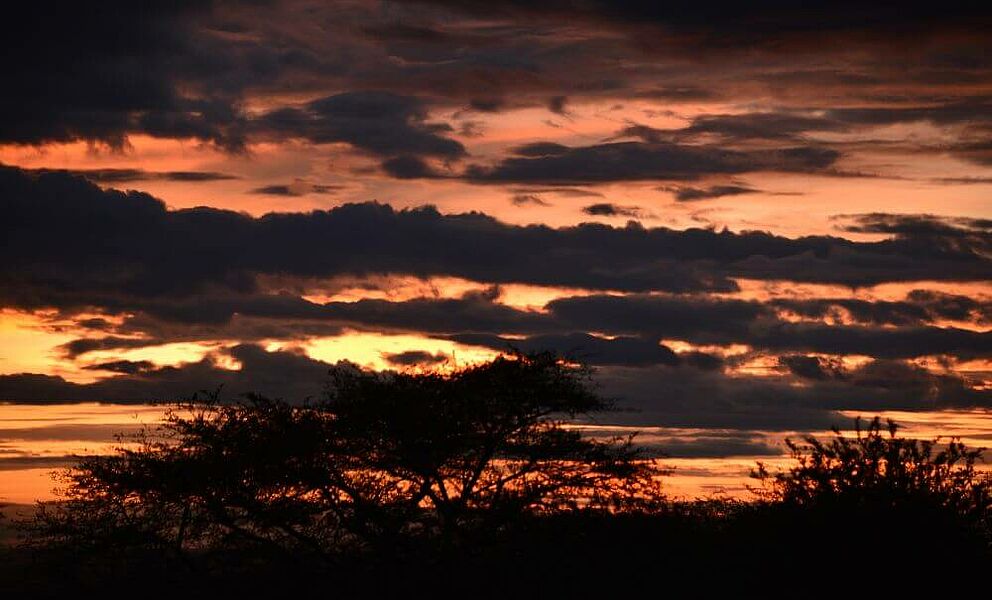 Abendstimmung in der Serengeti