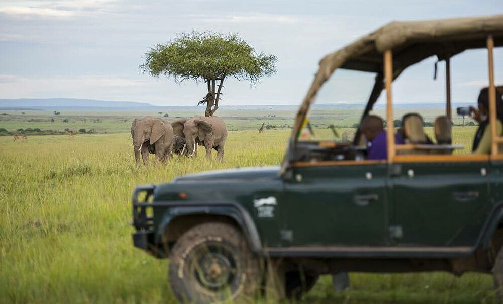 Auf Pirschfahrt in der Masai Mara