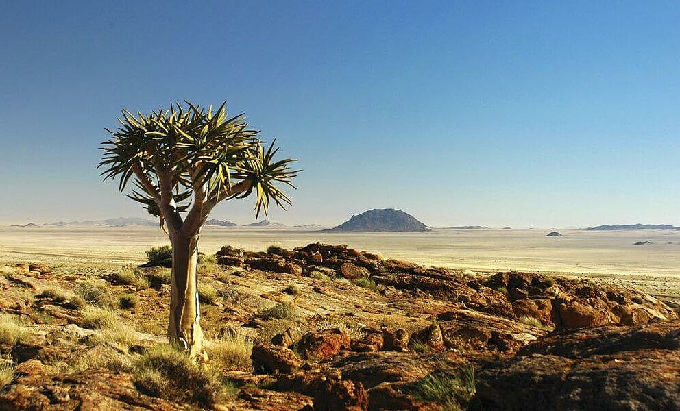 Blick in die Weite Namibias