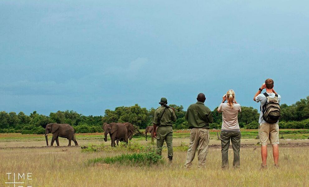 Mit sehr erfahrenen Guides zu Fuss auf Safari