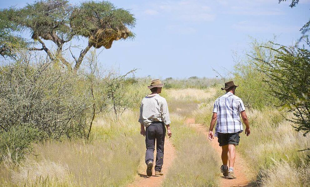 Kalahari Wanderung