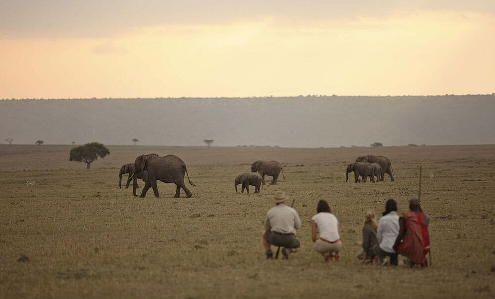 Geführte Buschwanderung in der Masai Mara
