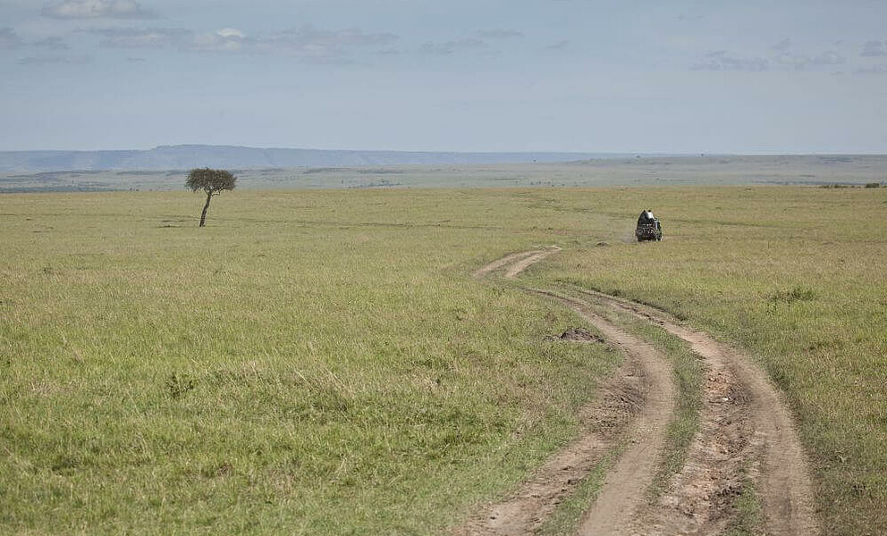 Die Weiten der Masai Mara erkunden