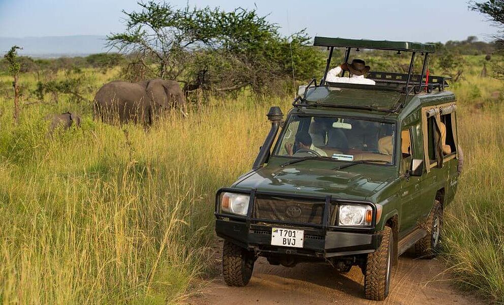 Auf Safari in der Serengeti